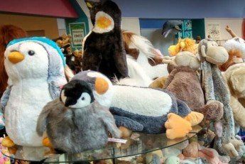 Stuffed toys compiled - Fun toys in Seattle, WA